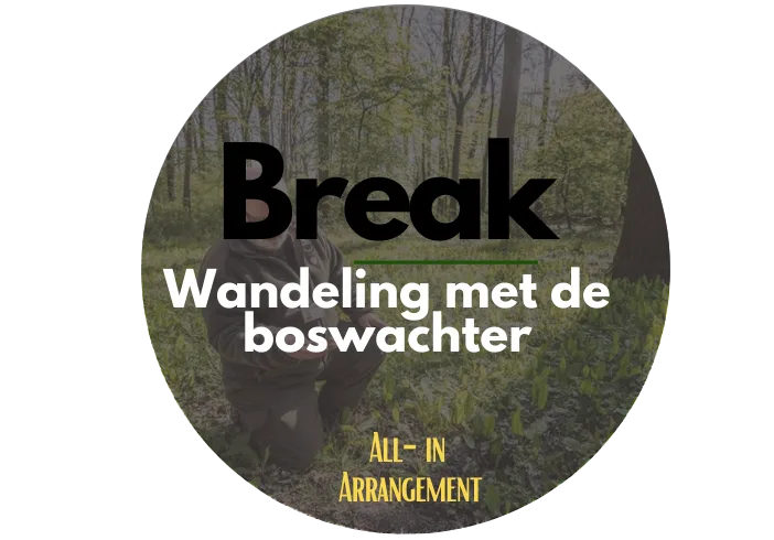 Activiteit: Boswandeling